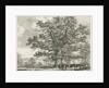 Blithfield - Squitch-bank Oak : etching, 1824 by School English