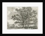 Blithfield - Squitch-bank Oak : etching, 1824 by School English