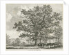 Blithfield - Squitch-bank Oak : etching, 1824 by School English