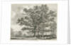 Blithfield - Squitch-bank Oak : etching, 1824 by School English