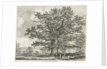 Blithfield - Squitch-bank Oak : etching, 1824 by School English
