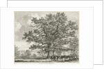 Blithfield - Squitch-bank Oak : etching, 1824 by School English