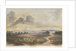 Cannock Chase - 'Heath' by Henry James Noyes