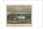 Chillington - 'The Chillington Oxen': mezzotint engraving by School English