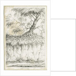 Dudley - Tree by Luke Booker