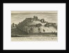 Dudley Castle by School English
