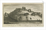 Dudley Castle by School English