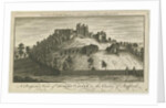 Dudley Castle by School English