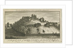 Dudley Castle by School English