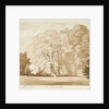 Ingestre - a study of trees by Thomas Peploe Wood