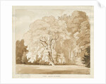 Ingestre - a study of trees by Thomas Peploe Wood