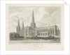 Lichfield Cathedral - South East View by John Britton