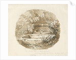Biddulph - Ancient Well in Knypersley Woods: sepia drawing, 1838 by Thomas Peploe Wood