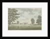 Fisherwick Hall by School English