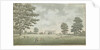 Fisherwick Hall by School English