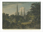 Lichfield Cathedral - North East View by Henry Salt