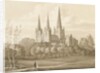 Lichfield Cathedral - West South West View by Robert Noyes
