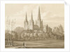 Lichfield Cathedral - West South West View by Robert Noyes