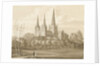 Lichfield Cathedral - West South West View by Robert Noyes