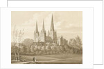 Lichfield Cathedral - West South West View by Robert Noyes