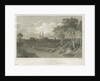 Lichfield Cathedral - West View: engraving by William Tombleson