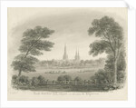 Lichfield Cathedral - North West View by John Buckler