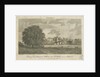 Lichfield - 'Dr. Johnson's' Willow Tree: engraving by Samuel Rawle