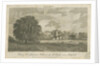 Lichfield - 'Dr. Johnson's' Willow Tree: engraving by Samuel Rawle