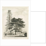 Haughton Rectory by Thomas Peploe Wood