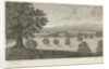 Loxley Park by School English