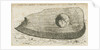 Hamstall Ridware - Archaeological find by School English