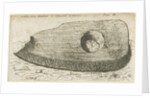 Hamstall Ridware - Archaeological find by School English