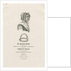 Newcastle-under-Lyme - A Scold's Bridle by School English