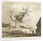Norbury Village - 'The Norbury Elm' by Thomas Peploe Wood
