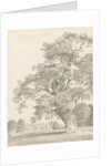 Tixall - Oak Tree: pen and wash drawing, 1837 by Thomas Peploe Wood
