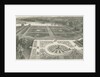 Trentham Gardens: woodcut engraving by School English