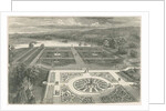 Trentham Gardens by School English
