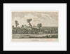 Tamworth Castle by School English