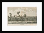 Tamworth Castle by School English