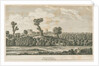 Tamworth Castle by School English
