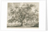 Tutbury - 'Wych Elm': etching by Jacob George Strutt