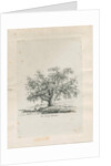 Tutbury - 'Wych Elm' by Jacob George Strutt