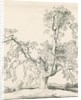 Tutbury - 'Wych Elm': pen and ink drawing, 1836 by Thomas Peploe Wood