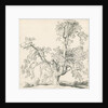 Tutbury - 'Wych Elm': pen and ink drawing, 1836 by Thomas Peploe Wood