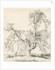 Tutbury - 'Wych Elm': pen and ink drawing, 1836 by Thomas Peploe Wood