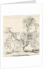 Tutbury - 'Wych Elm': pen and ink drawing, 1836 by Thomas Peploe Wood
