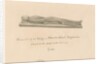 Uttoxeter Church - Effigy: sepia wash drawing, 1839 by John Buckler