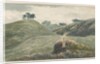 Walton-on-the-Hill - Cannock Chase by School English