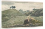 Walton-on-the-Hill - Cannock Chase by School English