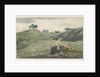 Walton-on-the-Hill - Cannock Chase by School English